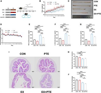 Pterostilbene attenuates intestinal epithelial barrier loss induced by high loading intensity of exercise